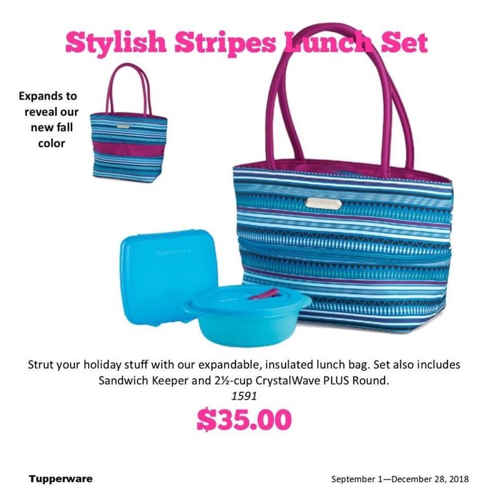 Fall 2018 lunch bag